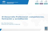 El Desarrollo Profesional: competencias, formación y acreditación · 2018-12-21 · cualquier sistema de incentivación y promoción. Definimos la competencia profesional como la