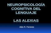 NEUROPSICOLOGÍA COGNITIVA DEL LENGUAJE LAS ALEXIAS · Subespecificación lingüística Los síndromes Descriptos de manera gruesa. Déficits y síntomas en un puñado de pruebas