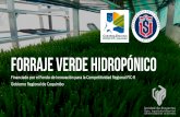 Forraje Verde Hidropónico - CAZALAC...Objetivo General “Generaruna alternativa de alimentación animal sustentable en el largo plazo, para pequeños productores agropecuarios en