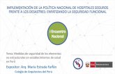Ministerio de Salud - Expositor: Arq. María Estrada Farfán Medidas de... · 2019-01-04 · •Muros exteriores no-portantes, paredes divisorias, sistemas de tabiques interiores,