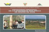 Estrategia Regional de Diversidad Biológica de Madre de Diosiiap.org.pe/Upload/Publicacion/PUBL541.pdf · el tema de la diversidad biológica, se presenta el proceso de elaboración