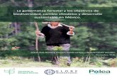 La gobernanza forestal y los objetivos de biodiversidad ... · La gobernanza forestal y los objetivos de biodiversidad, cambio climático y desarrollo sustentable en México. Andrés
