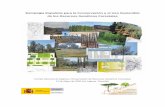 Estrategia Española para la Conservación y el Uso ... · Biológica, el Proceso Paneuropeo de Protección de Bosques, y la Estrategia Forestal Europea, que a nivel nacional se han