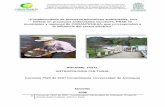 INFORME FINAL ANTROPOLOGIA CULTURAL Medellín · Informe Final “Fortalecimiento de procesos educativos ambientales, con énfasis en proyectos ambientales escolares, PRAE y desarrollo