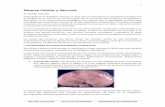 Muerte Celular y Necrosiswebpatologia/Apuntes Necrosis.pdf · La membrana citoplasmática impide la entrada del sodio y el escape del potasio. Esta barrera es imperfecta, y esta debilidad