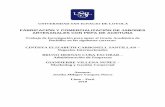 Fabricación y comercialización de jabones artesanales con pepa …repositorio.usil.edu.pe/bitstream/USIL/8922/1/2019... · 2019-05-22 · UNIVERSIDAD SAN IGNACIO DE LOYOLA FABRICACIÓN