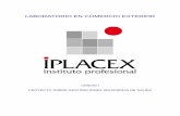LABORATORIO EN COMERCIO EXTERIOR - IPLACEXbiblioteca.iplacex.cl/MED/Laboratorio en comercio exterior.pdf · 1.2 Antecedentes Adicionales para la Operación de Exportación Una vez