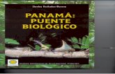 bdigital.binal.ac.pabdigital.binal.ac.pa/bdp/artpma/peces.pdf · 2008-12-29 · del puente terrestre panameño hace 3 mi- Ilones de años. Los peces secundarios toleran ciertos nive-