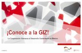 ¡Conoce a la GIZ! - mexiko.diplo.deActividades de la GIZ en México Programas regionales Proyectos que involucran a varios países de una región Cooperaciones triangulares Proyectos