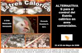 ALTERNATIVA S para el control del Estrés calórico enALTERNATIVA S para el control del Estrés calórico en aves comerciales. X CNA Maracaibo Venezuela Gonzalo Scovino C. M.V. 21