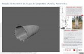 Modelo 3D do menhir de A Lapa de Gargantáns (Moraña ...digital.csic.es/bitstream/10261/66301/5/ALapaGargantans_3D_Noncor.pdf · É un dos menhires máis afamados de Galicia e, debido