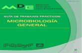 Guía de Trabajos Prácticos. Microbiología General · GLOSARIO 60 175 183 . 193 . Guía de Trabajos Prácticos de Microbiología General– Lic. en Bioquímica 2019 V. ... - Identificar