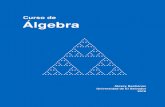 Curso de Álgebracadadr.org/san-salvador/algebra/2018/salvador-algebra.pdf · El nombre oﬁcial del curso es “Álgebra moderna”, pero esta es una expresión bastante anticuada: