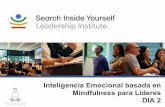 Inteligencia Emocional basada en Mindfulness para …Si, a partir de hoy, todo en mi vida cumpliera o superara mis expectativas más optimistas, ¿cómo sería mi vida dentro de 5