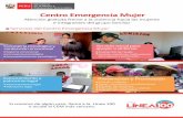 Centro Emergencia Mujer...Centros Emergencia Mujer de Lima y Callao Jr. Camaná 616, Cercado de Lima Teléfono:(01) 419-7260 LIMA SUR Manchay Av. Víctor Malasquez S/N Portada de Manchay