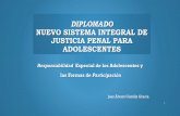 DIPLOMADO NUEVO SISTEMA INTEGRAL DE JUSTICIA PENAL …justiciapenalbcs.gob.mx/uploads/documentos/Justicia... · 2018-02-27 · alimentación y a la salud, siendo responsabilidad de