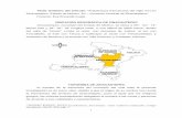 Titulo tentativo del artículo: Arquitectura franciscana ...web.uaemex.mx/iesu/PNovohispano/Encuentros/1999 XII... · La conquista del valle de Toluca, y dentro de éste Zinacantepec,