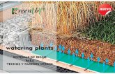 watering plants - Techos Verdes · Además de la defensa, la capacitación, la política y el diseño de techos verdes, ahora estamos involucrados en la planificación y el diseño