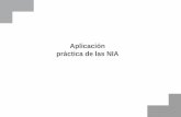 Aplicación práctica de las NIA · 1/1/2015  · decir, las NIA de las series: 200-299 Principios generales y responsabilidades 300-499 Evaluación del riesgo y respuesta a los riesgos