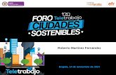 Roberto Martínez Fernández · 2019-08-13 · Roberto Martínez Fernández barreras . barreras factores tecnológicos factores operativos y organizativos factores legales y jurídicos