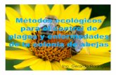Métodos ecológicos para el control de plagas y ... · Métodos ecológicos para el control de plagas y enfermedades de la colonia de abejas Ing. Gerardo Rodríguez ... instrucciones