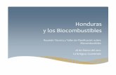 Honduras y los Biocombustibles - oas.org · • Bio G 21 Industria Textil Producción de Bio-vapor con biomasa • (9.6 Mw) • Palma Africana • (100,000 ha) 22 Produccion de Biogas