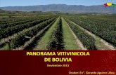 PANORAMA VITIVINICOLA DE BOLIVIA - 06... · • El trabajo en la mina, se soportaba masticando hojas de coca para procurarse energía, además, de una ingesta clandestina y excesiva
