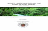 Dinámica y distribución del bosque en el · Dinámica del bosque en el área de las “Fragas do Eume ... (Pulgar, I., Amigo, J., Giménez, J. Sin especificar el año). En Galicia,