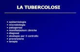 Presentazione di PowerPoint · 2019-02-04 · CASI DI TBC IN IMMIGRATI (2000) % di casi di origine straniera 5-19 < 5 20-39 > 40 No dati. Mycobactrium tuberculosis • Gli agenti