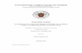UNIVERSIDAD COMPLUTENSE DE MADRIDeprints.ucm.es/41055/1/T38333.pdf · 2017-01-31 · UNIVERSIDAD COMPLUTENSE DE MADRID FACULTAD DE DERECHO Departamento de Derecho Constitucional TESIS