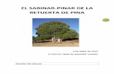 RETUERTA DE PINA · 2013-04-19 · 5 VEGETACIÓN DE LA RETUERTA DE PINA Muy pocos árboles son capaces de crecer en las duras condiciones climáticas de la Retuerta de Pina. Los árboles