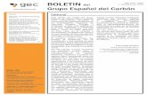 BOLETIN n etiere 18 1 4 Grupo Español del Carbón · los fullerenos en 1985 por Kroto [4], posteriormente los nanotubos de carbono (CNTs) en 1991 por Iijima [5] y finalmente el grafeno