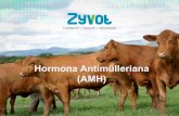 Hormona Antimülleriana (AMH) · Que es la Hormona Antimülleriana (AMH) ? •Ampliamente utilizada en reproducción humana para evaluar la reserva ovárica. •Recientemente se ha