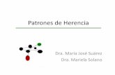 Patrones de Herencia 2015... · 2015-05-08 · Árbol Genealógico •Obtención de información sobre la historia familiar –Historia natural, variaciones de expresión y patrón