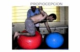 PROPIOCEPCION...• El término PROPIOCEPCION ha evolucionado; hoy, se conoce como la conciencia de posición y movimiento articular, velocidad y detección de la fuerza de movimiento,