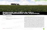 Respuesta del cultivo de soja a la des-compactacion sub … · 2019-04-29 · (SD). Ambos tratamientos se implementaron en fajas apareadas de aproximadamente 400 m de largo por 30