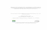 Influencia de la fertilización con nitrógeno y azufre sobre la …ri.agro.uba.ar/files/download/tesis/maestria/2017arata... · 2017-12-01 · Influencia de la fertilización con