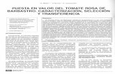 PUESTA EN VALOR DEL TOMATE ROSA DE BARBASTRO. … · 2017-11-28 · ajusta a un tomate de calidad. CALIDAD SENSORIAL Para el análisis del Tomate Rosa de Barbastro, se han fijado