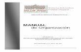 MANUAL de Organizaciónseer.slp.gob.mx/TRANSPARENCIA/M_Org_EME2011.pdf · públicos del Gobierno del Estado cuenten con una fuente de información que les permita conocer la organización
