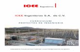 ICEE Ingenieros S.A. de C.V. · 2019-02-18 · cada uno de los proyectos que se han realizado, por lo que abarcamos un amplia gama de servicios especializándonos en el sector energético