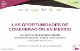 LAS OPORTUNIDADES DE COGENERACIÓN EN …...la cogeneración en México, la cual se vea reflejada en un "Programa para la promoción y difusión de la cogeneración", en el que se