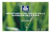 IMPORTANCIA DEL CALCIO EN LA NUTRICION DE LA PAPAcipotato.org/wp-content/uploads/congreso ecuatoriano 3/a_medina_6.pdfLa pectina es degradada por la enzima poligalacturonasa, que se