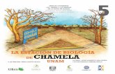 SERIE DE CUADERNOS LAS TIERRAS Y LOS MONTES DE LA COSTA DE … · Reserva de la Biosfera Chamela-Cuixmala En 1993, las 1,751 hectáreas que el mismo Sr. Antonio Urquiza había donado