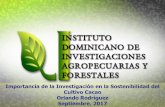 Importancia de la Investigación en la Sostenibilidad del ... · fermentación del cacao. APORTES DEL IDIAF AL SECTOR CACAO. El uso de cajas y montones como métodos eficientes para
