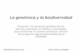 Proyecto “La variación genética de las plantas cultivadas ...“un sistema de información sobre biodiversidad y de certificación de uso sustentable de los componentes de la biodiversidad”