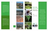 Biodiversidad Estado del arte y los desafíos futuros …...Biodiversidad urbana en Chile: Estado del arte y los desafíos futuros Este libro es un esfuerzo entre investigadores de