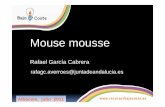 Taller Mouse moussecrmfalbacete.org/recursosbajocoste/archivos/pdf/Mouse... · 2015-07-22 · Justificación del título del taller Mouse mousse. Ratón principal dispositivo acceso