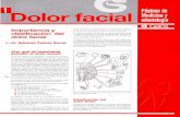 Importancia clasificación del dolor facial · Importancia y .clasificación del . dolor facial . Dr. Eduardo Padrós Serrat ¿Por qué es importante ... También puede resultar de