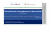Diagnóstico sobre determinantes de deforestación en Chiapassis.cnf.gob.mx/wp-content/plugins/conafor-files/2018/nacional/catalogo/biblioteca/101.pdfde Chiapas y contribuyan al proceso