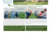 ectores se unen para trabajar agricultura orgánica 2017/boletines/ICTA Febrero 2017.pdf · acuerdos para suscribir alianza estratégica tripartita (sectores privado, académico y